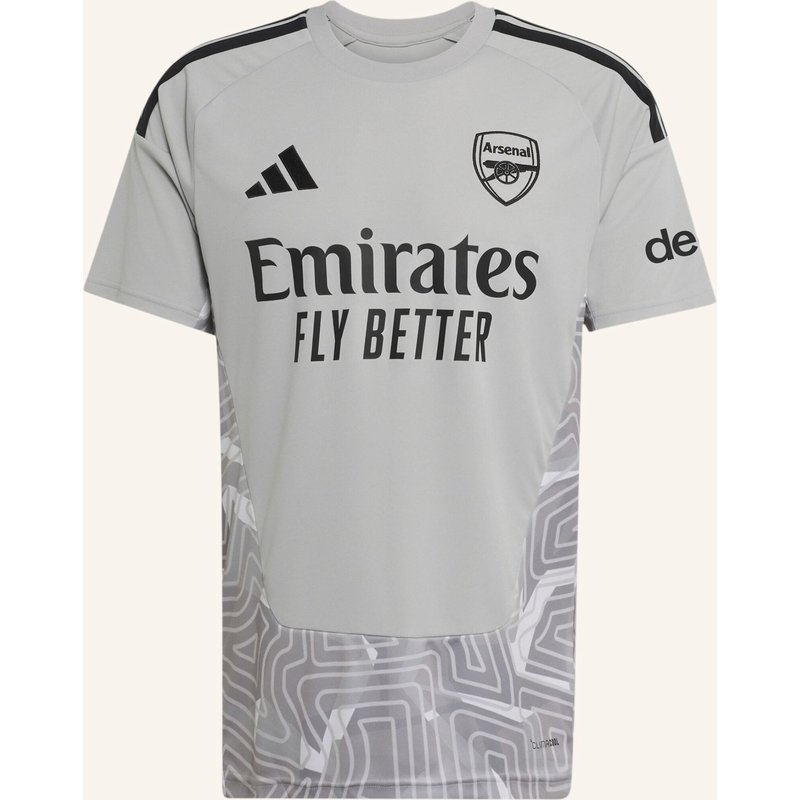 Adidas Fc Arsenal 26/27 Torwarttrikot grau