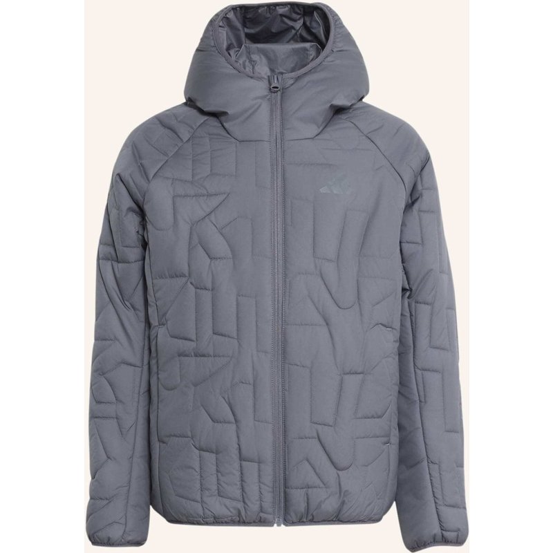 Adidas Terrex Terrex Kids Xperior Climawarm Gefütterte Jacke grau