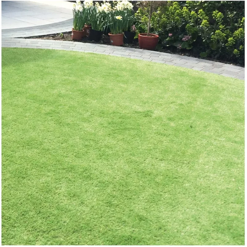 Luxigraze Artificial Grass Premium 30 2M X 5M 10M2 Roll