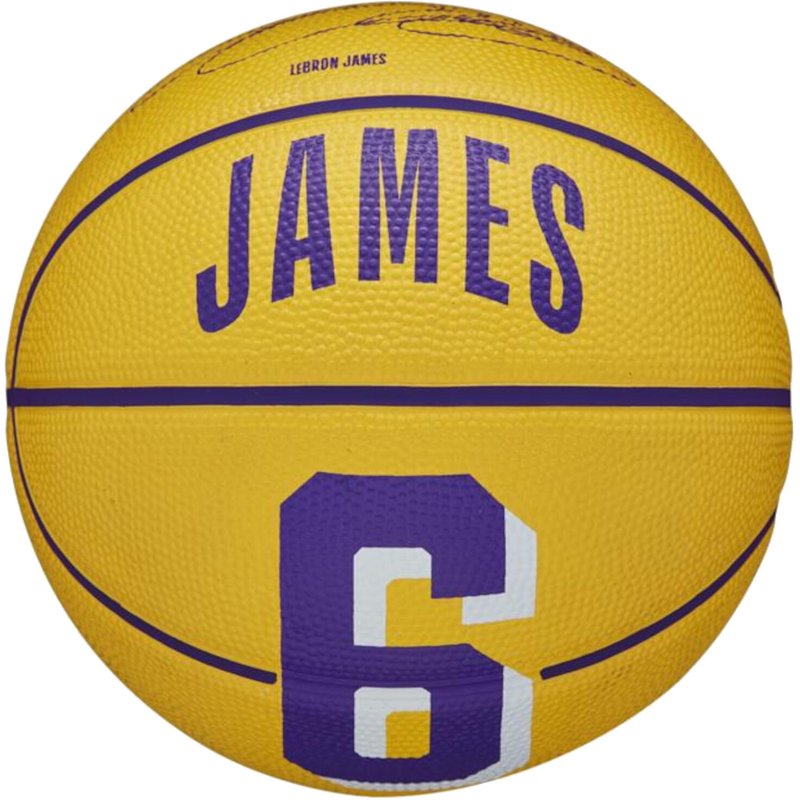 Basketball Wilson NBA Player Icon LeBron James Mini Ball