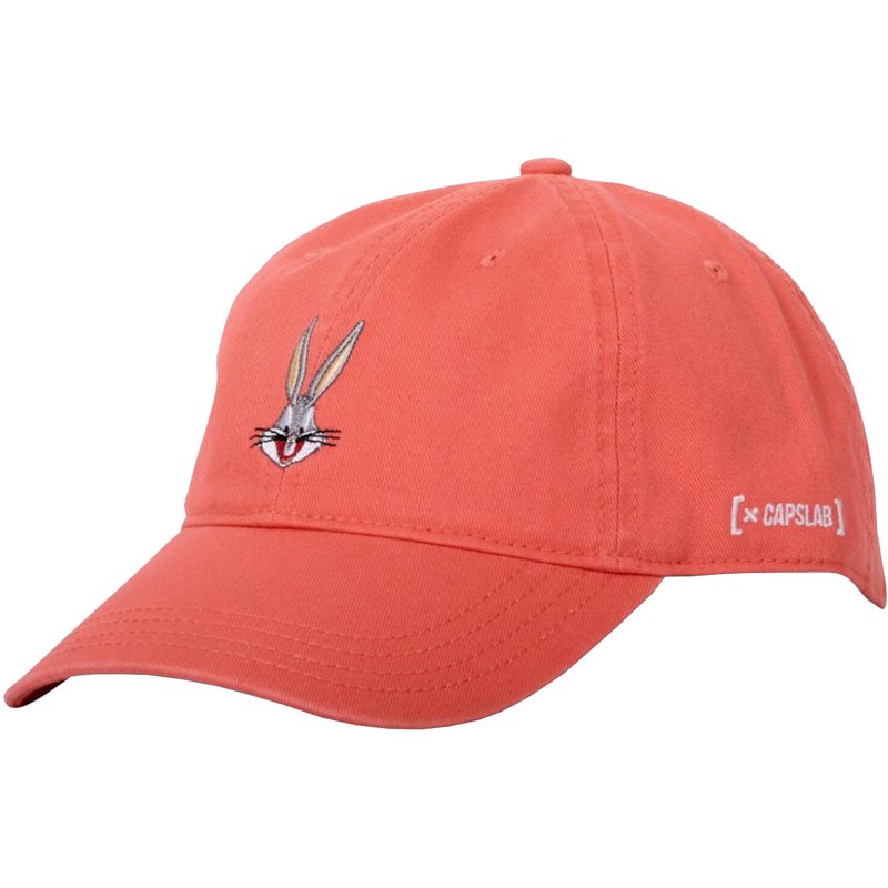 Kappen Herren Capslab Freegun Looney Tunes Cap
