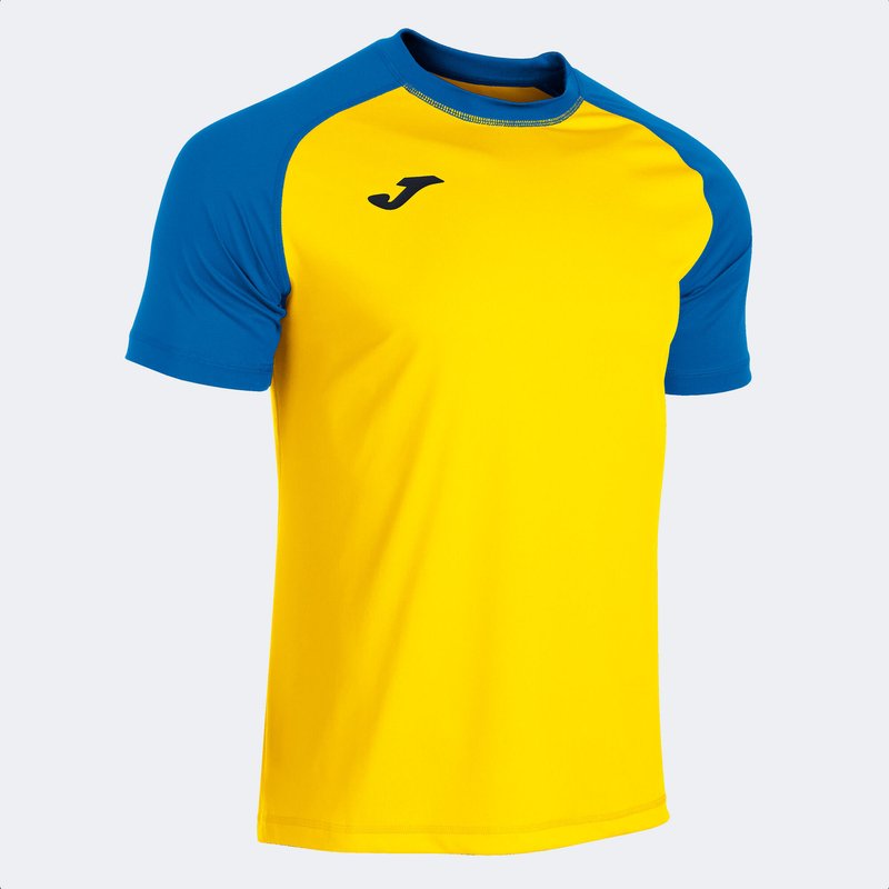 Trikot Joma Teamwordk