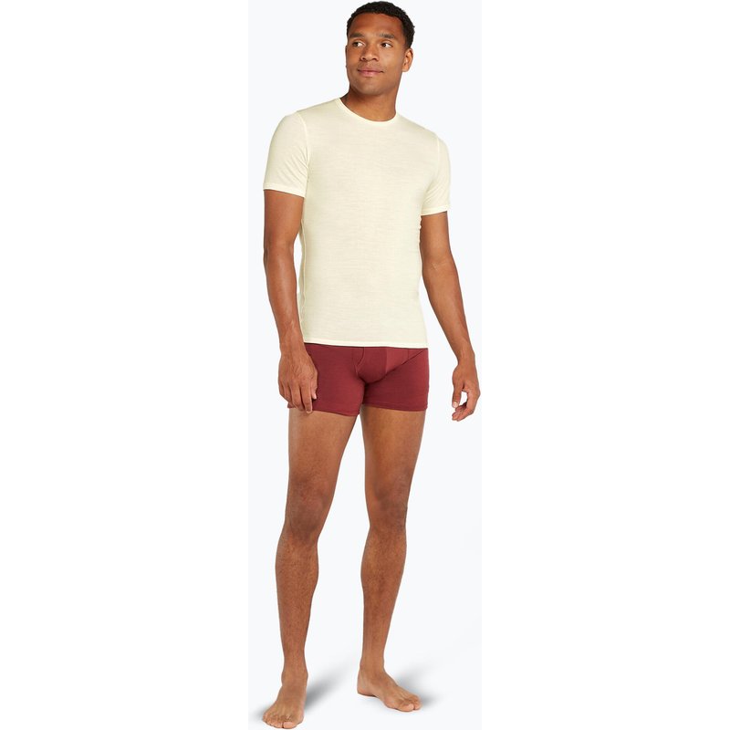Herren-Trekking-T-Shirt Icebreaker Anatomica Crewe ungefärbt
