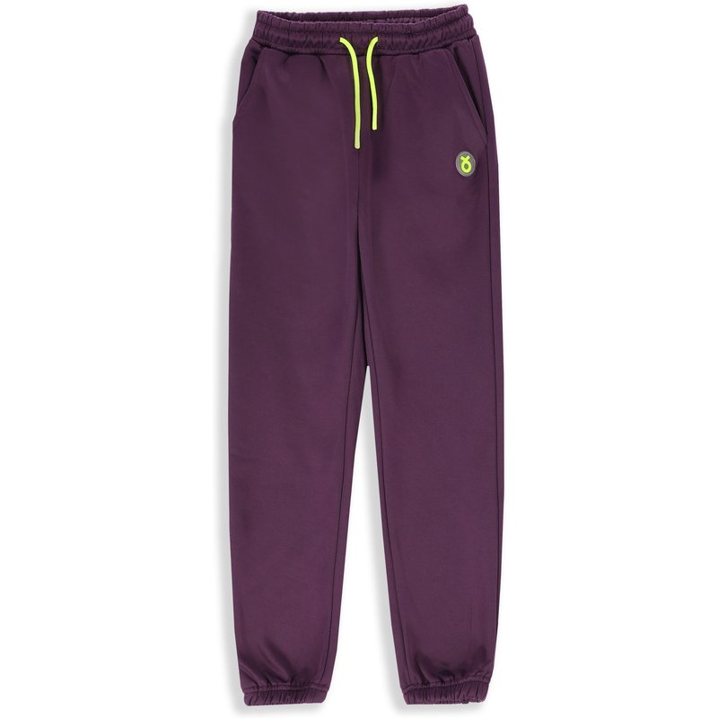 Kinder Trainingshose warm ZL4 violett