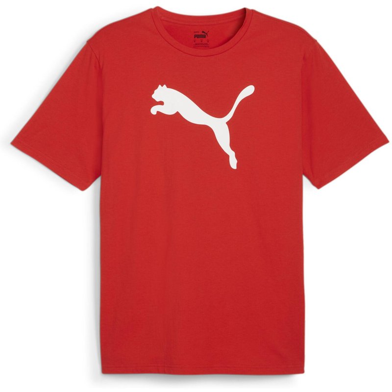 Puma Herren T-Shirt teamRISE Logo Jersey Cotton 658705