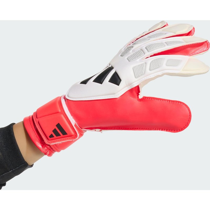 PREDATOR TORWARTHANDSCHUH TRAINING JUNIOR