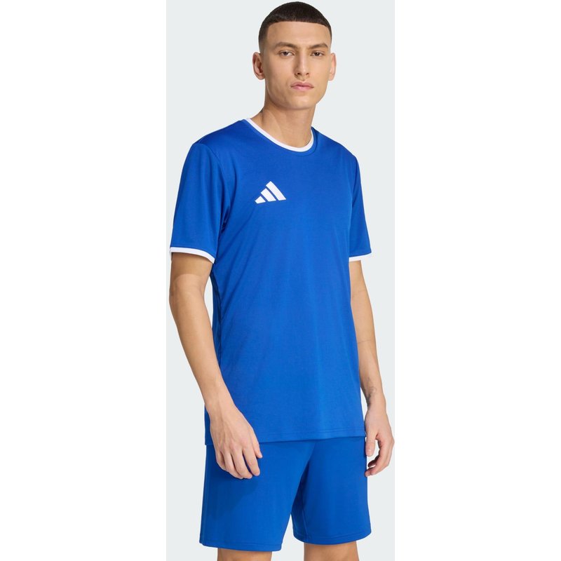 Entrada26 Trikot