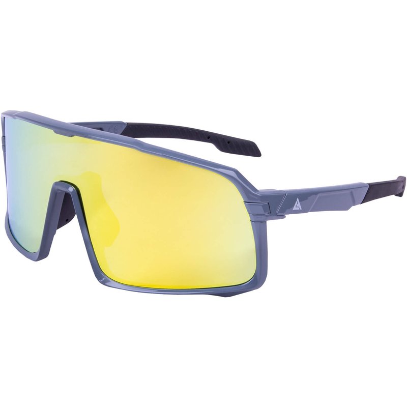 Polarisierte Sonnenbrille HENRY