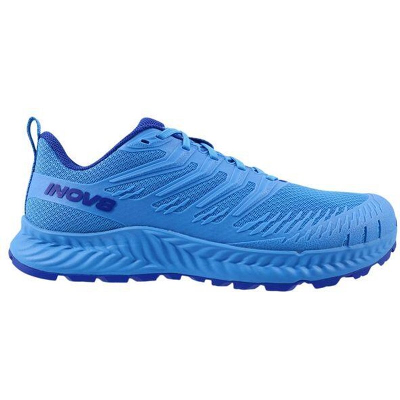 Trail-Schuhe Inov-8 TrailFly V2 Blau Herren