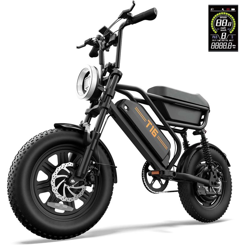 T16 Elektrofahrrad : 48V 13Ah Akku 16×3,0 Zoll Geländereifen