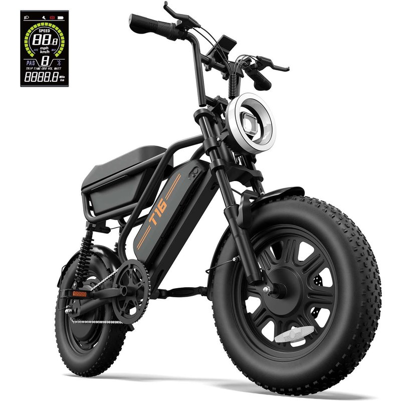 URLIFE T16 E-Bike mit Doppel-Federung, 48 V 13 Ah herausnehmbarer Akku