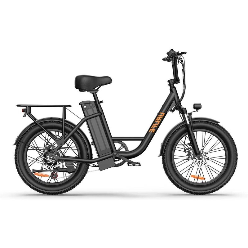 E-Bike für Erwachsene URLIFE E20 250W 48V 13AH 20" dicke Reifen