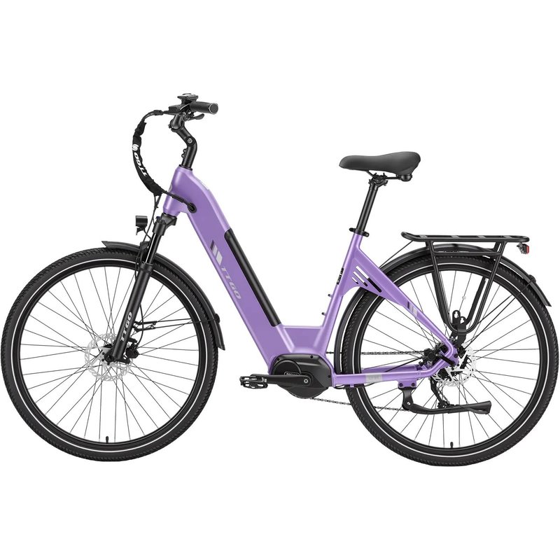 C7SE E-Bike 28" 36 V 250 W 75 Nm 150 km 9 Gänge