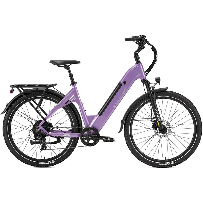 Urban E-Bike für Erwachsene TTGO C5 250W Motor 48V 13.5Ah Akku