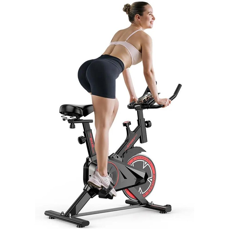 iscooter QK101 Heimtrainer mit 100 magnetische Widerstandsstufen