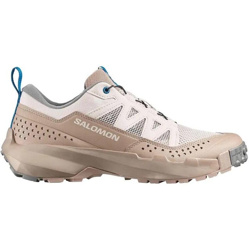 Wanderschuhe Salomon Terramphibian Beige/Blau