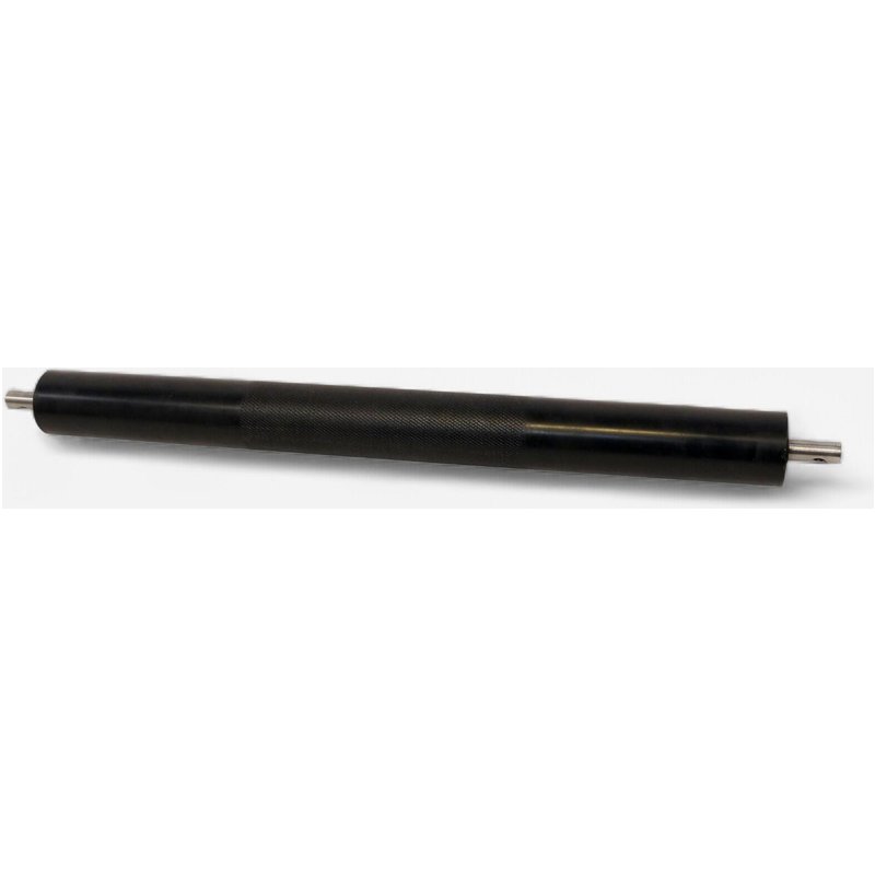 Rolle hinten W100