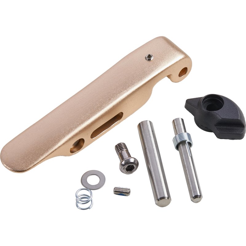 Scharnier-Set Rahmen Hoptown 500E gold