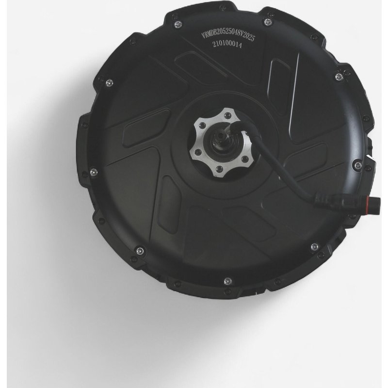 Motor 48 V 250 W Nennleistung 685 W Spitzenleistung für Cargobike R500E Longtail