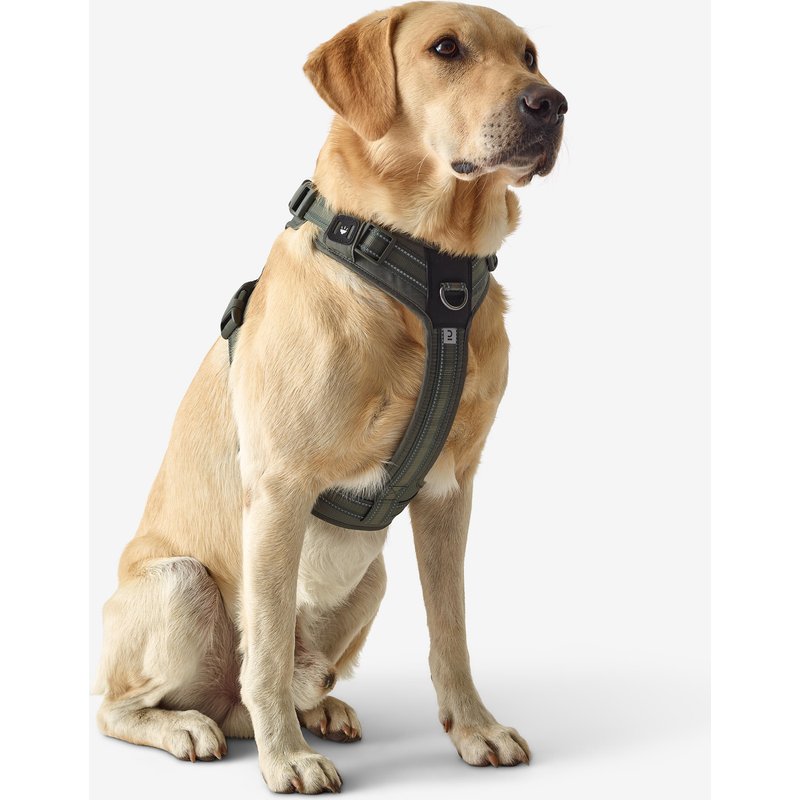 Hundegeschirr 500 Outdoor grün