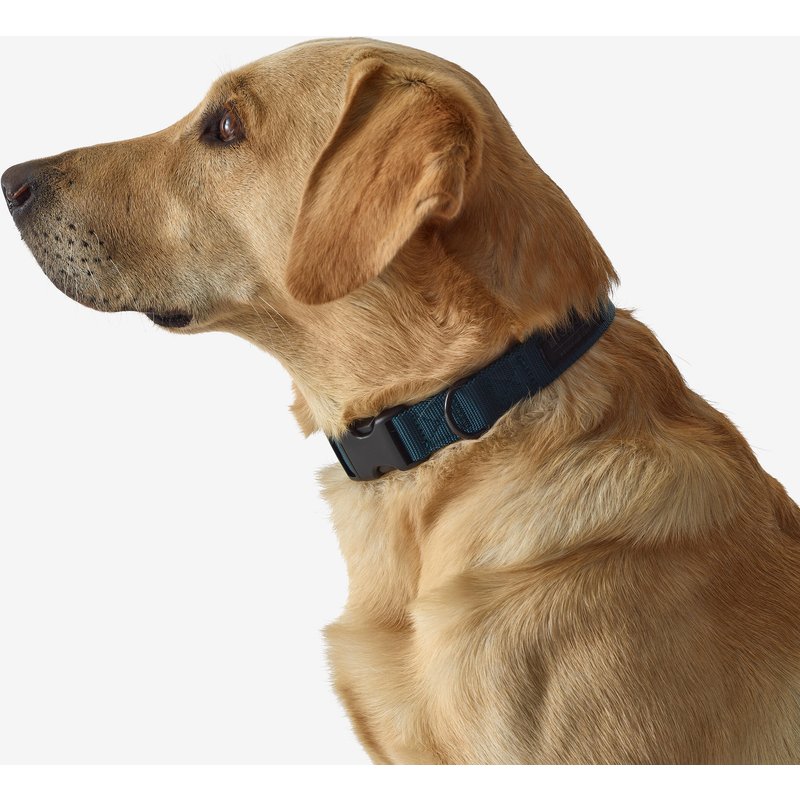 Hundehalsband 100 blau