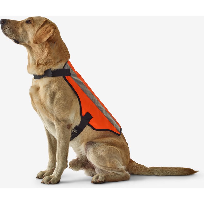 Hundeweste orange 100