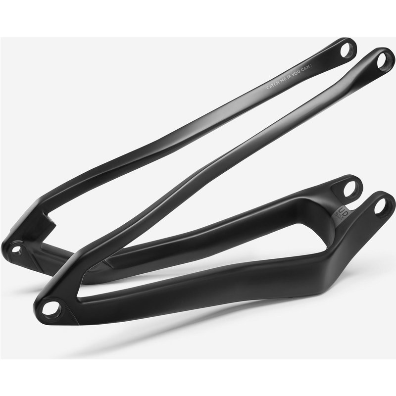 Hinterbau Carbon kompatibel mit EXPSC19 für Upgrade - EXPSCC20
