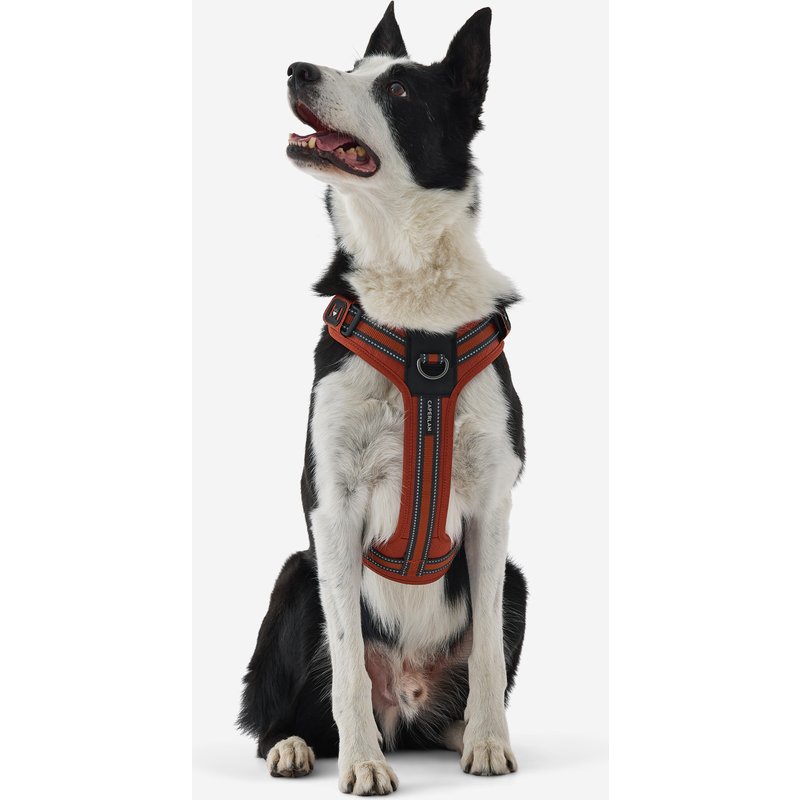 Hundegeschirr 500 Outdoor Terrakotta