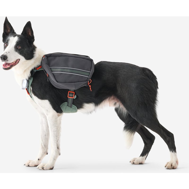 Hundegeschirr mit Rucksack Wandern