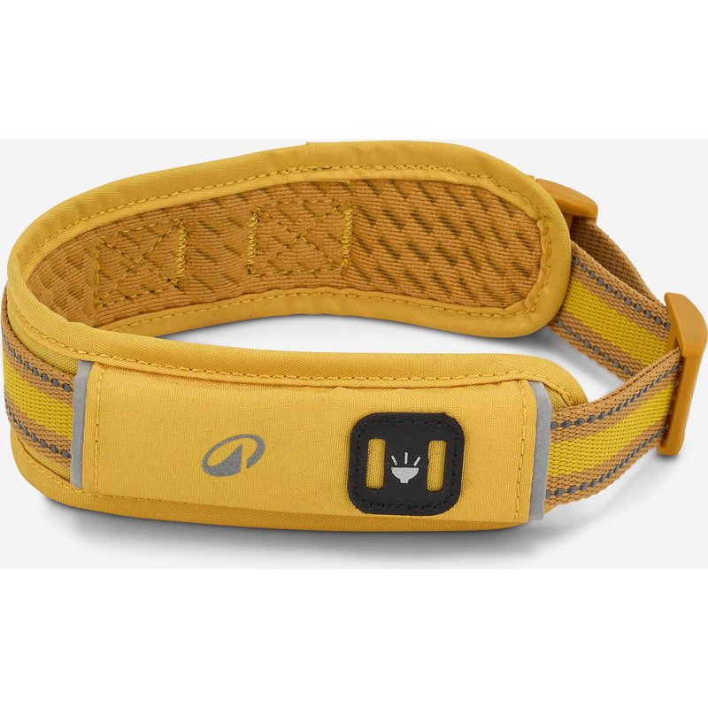 Hundehalsband 500 gelb