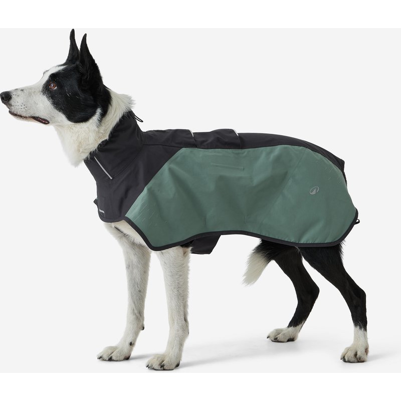 Hunde-Regenjacke grün
