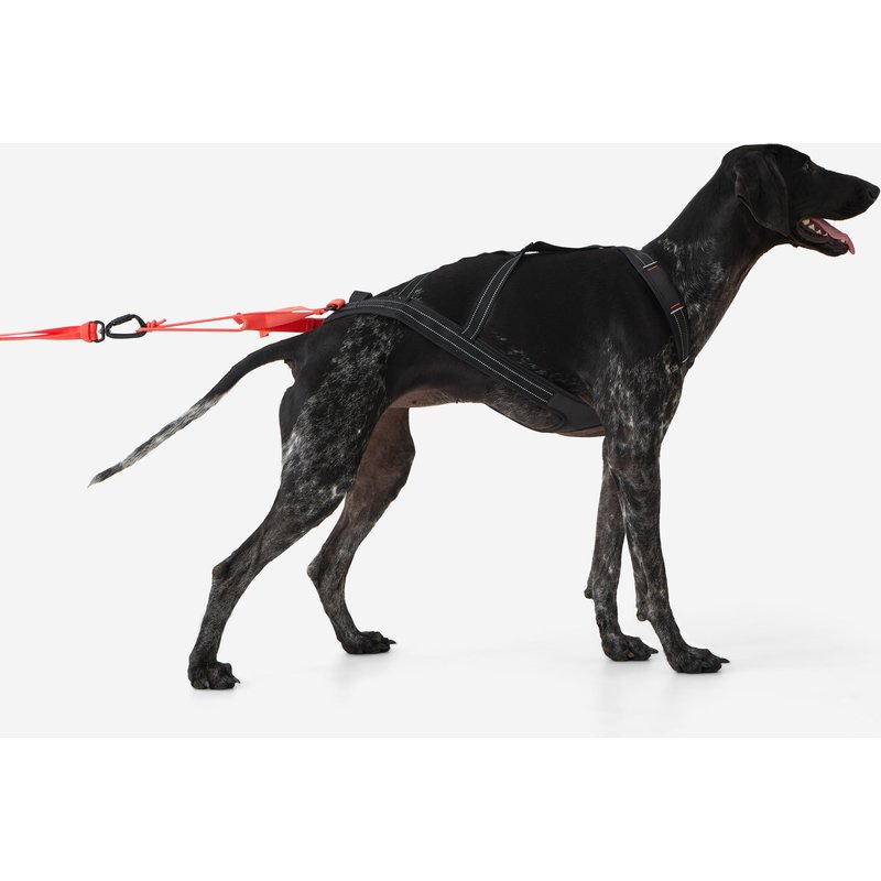 Hunde-Führgeschirr X-Back