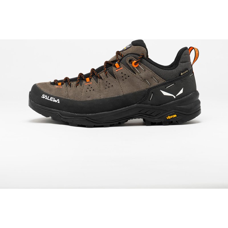 Wanderschuhe Herren niedrig GORE-TEX® wasserdicht - Salewa Alp Trainer GTX