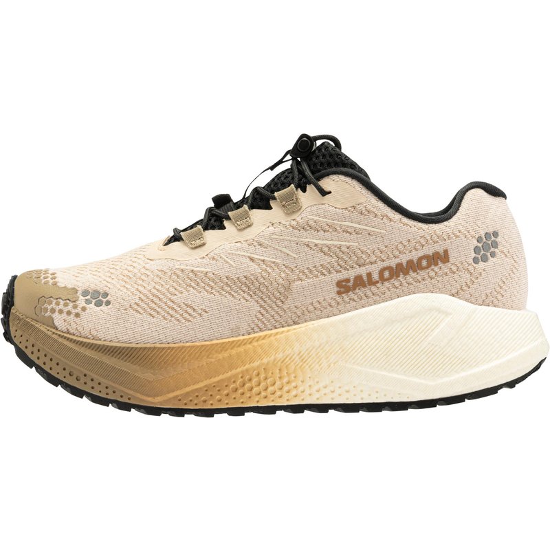 Laufschuhe Straße/Wege Damen Salomon - Aero Blaze beige