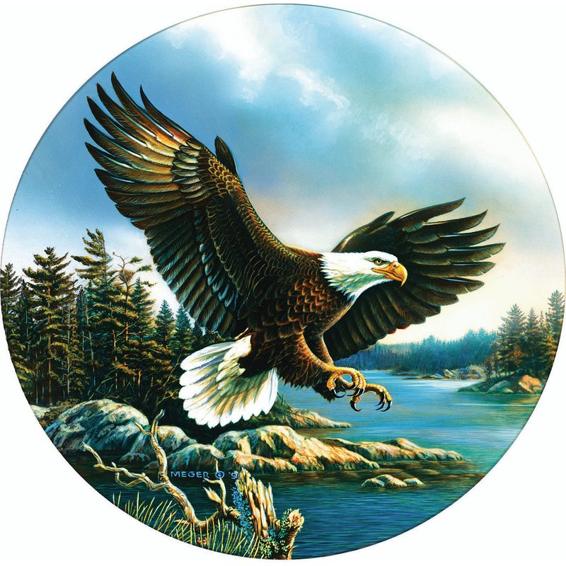 Puzzle L'Atterrissage de l'Aigle SunsOut