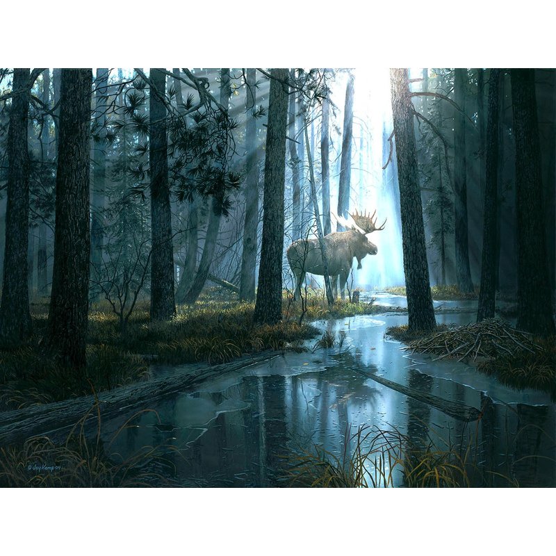 Puzzle Pièces XXL - Pris Par La Lumière SunsOut