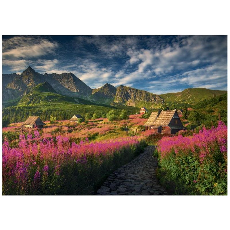 Puzzle Vallée de la Gasienica Dino