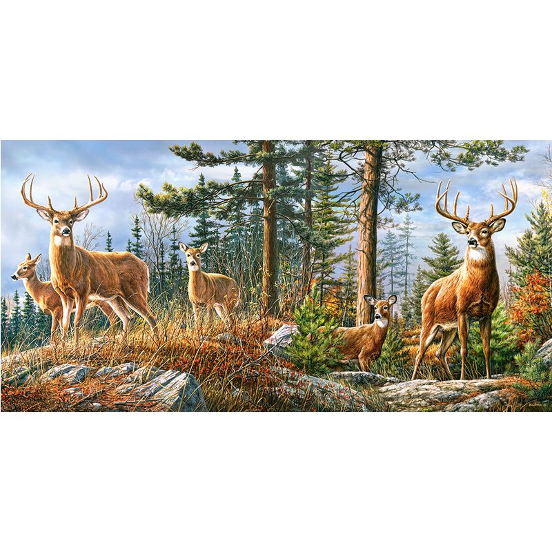 Puzzle Famille Royale de Cerfs Castorland