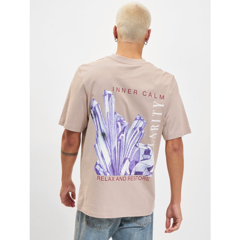 Jack & Jones Gemstone Crew Neck T-Shirt