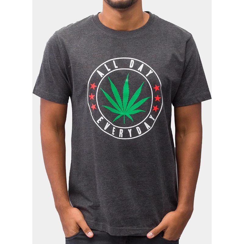 Mister Tee All Day