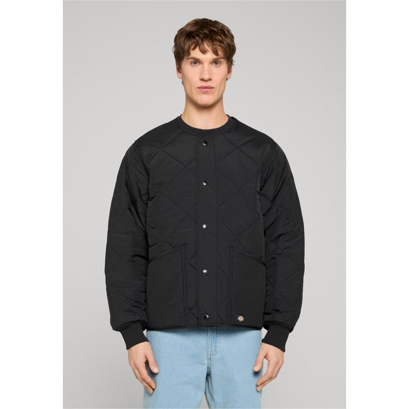 Dickies SAMBURG LINER JACKET