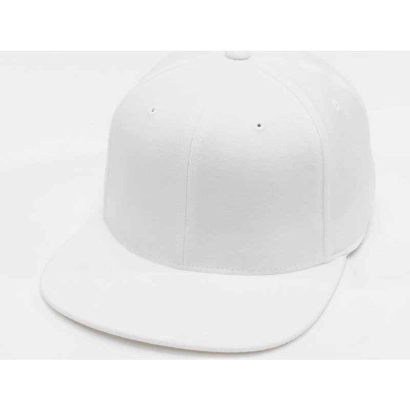 Flexfit 110 Fitted Snapback