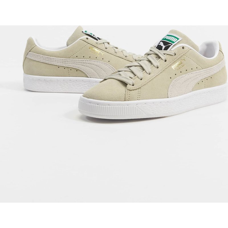 Puma Lacoste Graduate Pro Schuh