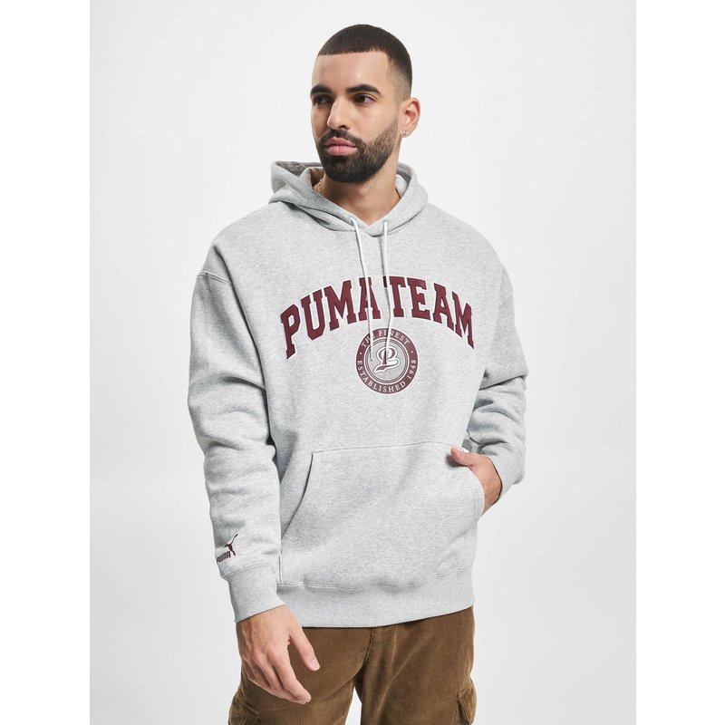Puma Team Hoodie