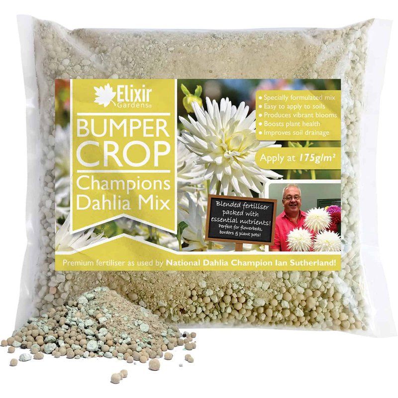 Champions Dahlia Mix (Premium Blended Fertiliser)