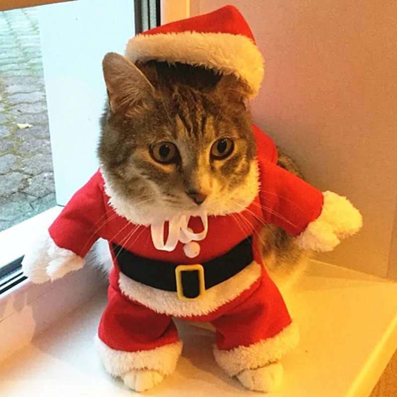 Christmas Costumes Funny Santa Claus Clothes For Small Cats Dogs Xmas New Year Pet Cat Clothing Winter Kitty Kitten
