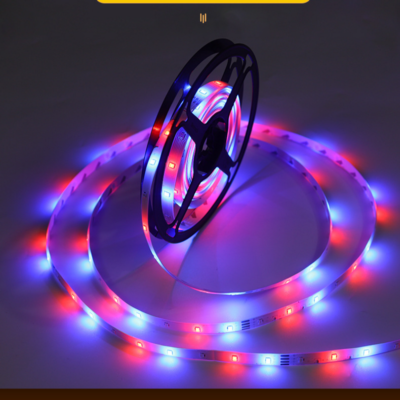 Light strip led strip self adhesive 2835rgb led light strip 12v colorful neon light 5 meters outdoor low voltage
