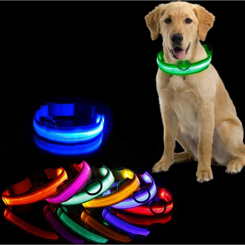 Led Dog Light Anti-lost Collar For Dogs Puppies Night Luminous Supplies Pet Products Accessories USB Charging/Battery