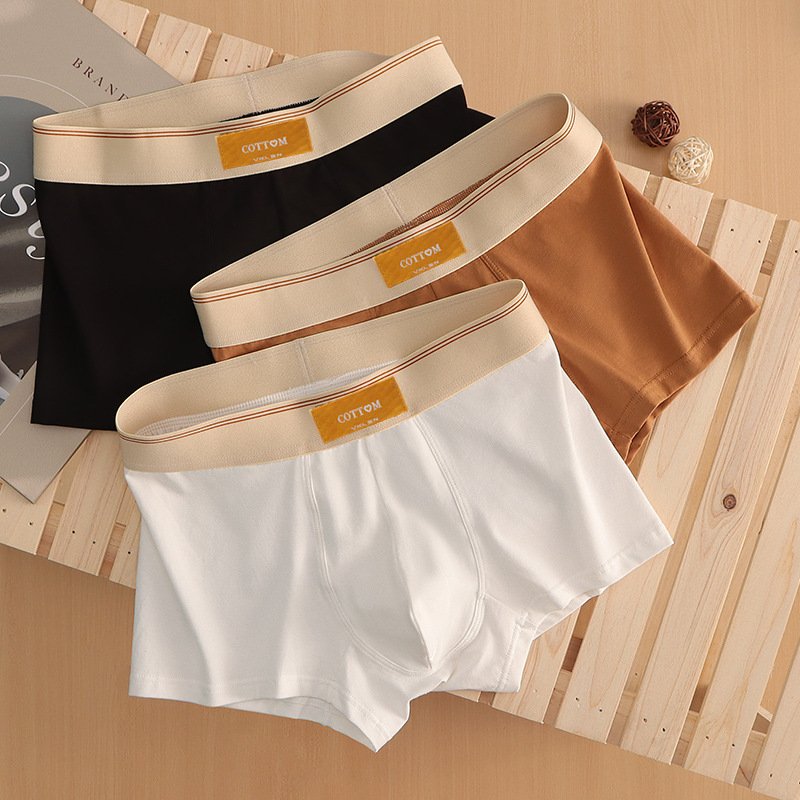 Men's Underwear Pure Cotton High End Boxer Briefs Trendy Boxer Shorts