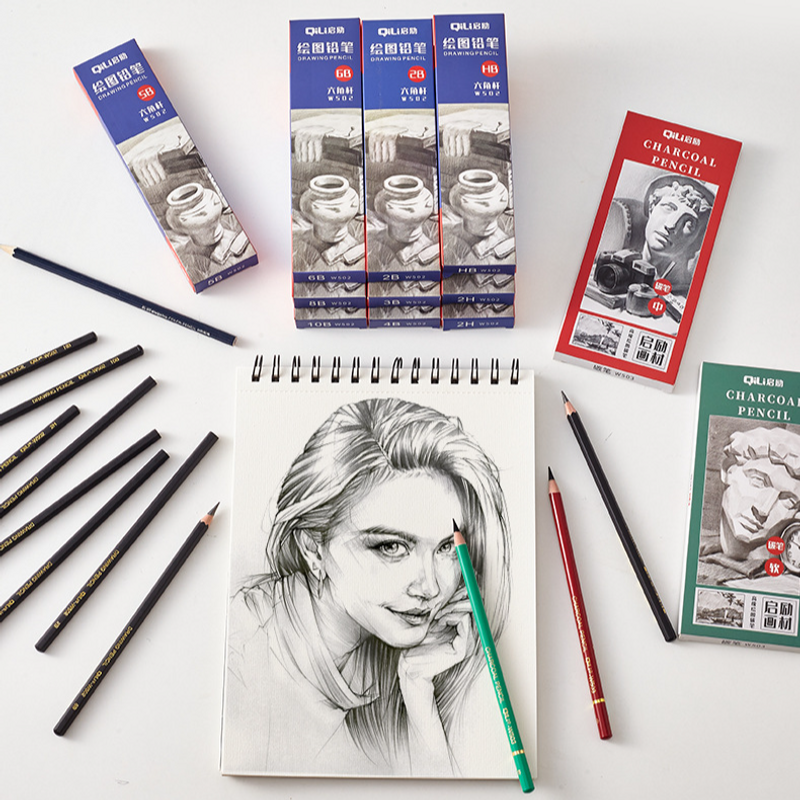 Professional Sketch Pencils Set - 12 Pack Art Graphite Pencils (2H/HB/2B/3B/4B/5B/6B/8B/10B) & Charcoal Pencils (Soft/Medium) For Drawing, Shading